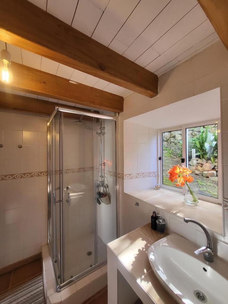 Casa Anjos Holiday Cottages Cedros Zewnętrze zdjęcie