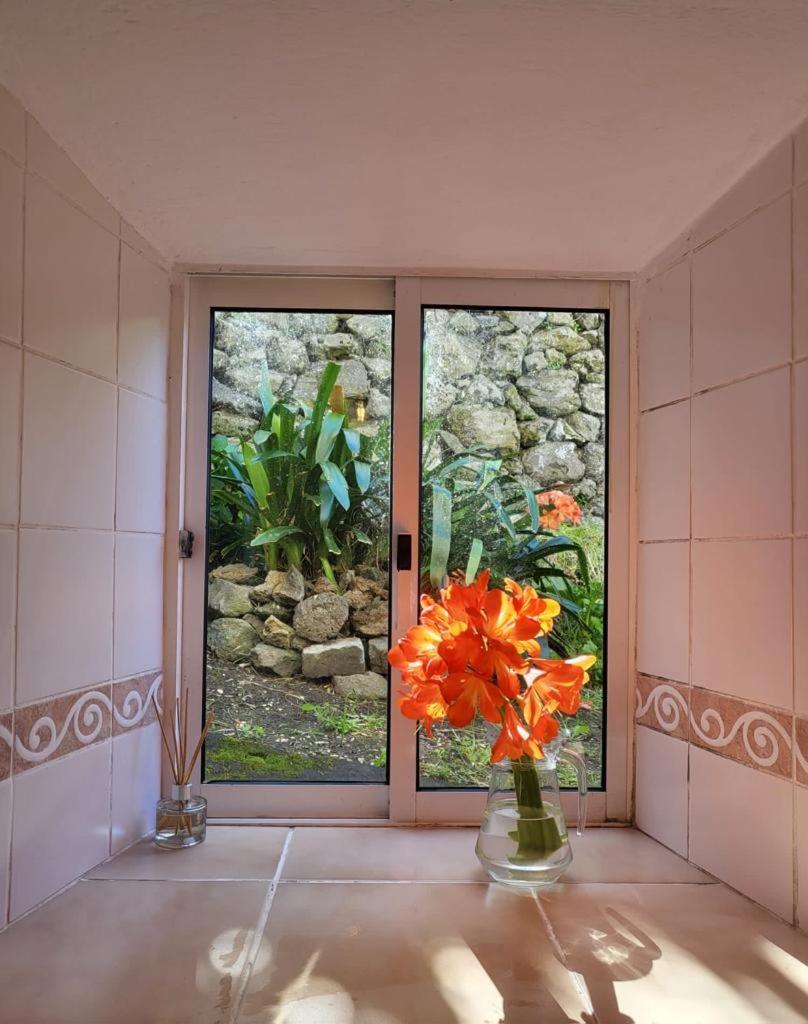 Casa Anjos Holiday Cottages Cedros Zewnętrze zdjęcie