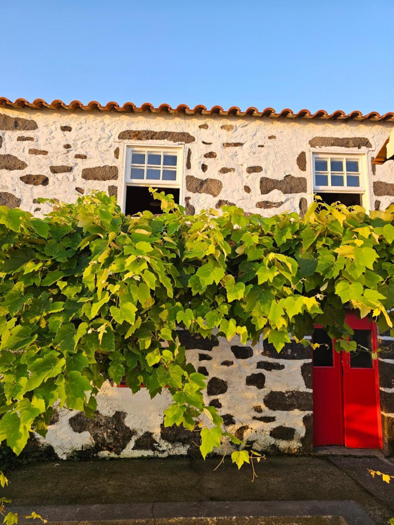 Casa Anjos Holiday Cottages Cedros Zewnętrze zdjęcie
