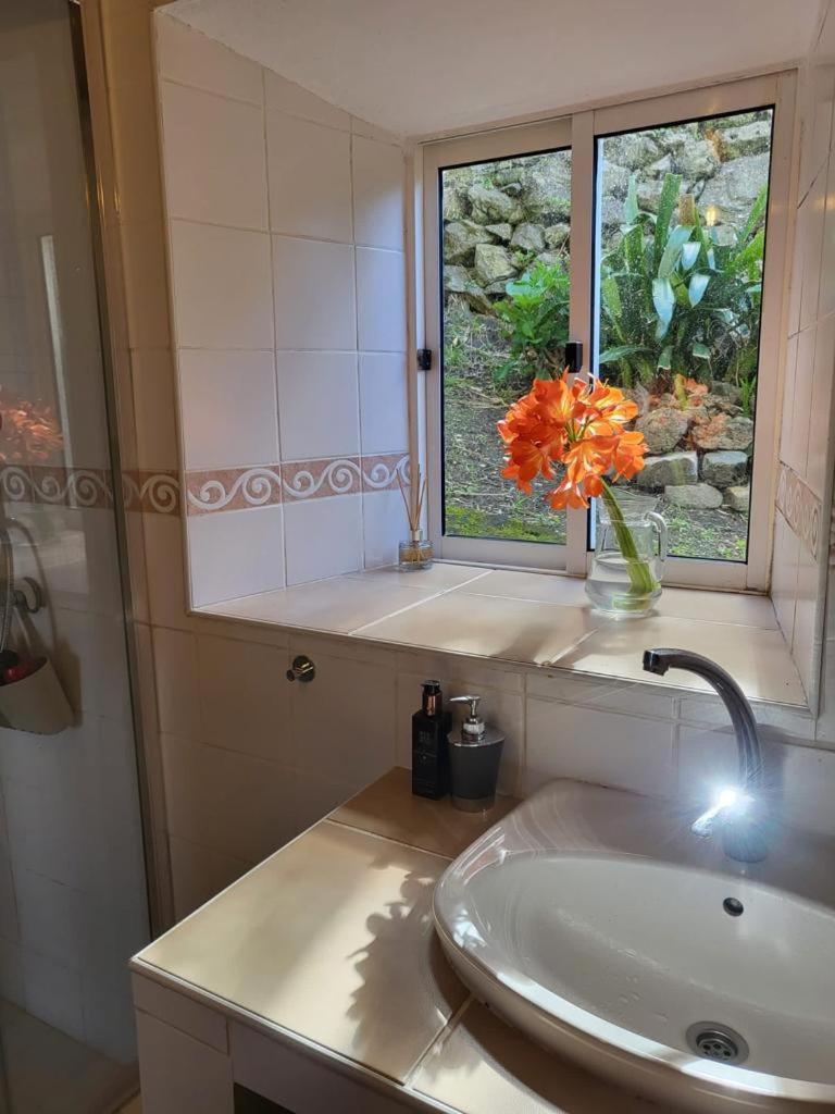 Casa Anjos Holiday Cottages Cedros Zewnętrze zdjęcie